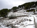 DSCN3806.JPG