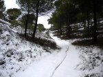 DSCN3814.JPG