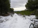 DSCN3819.JPG