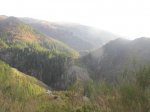 IMG_2791.jpg