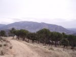 rutavalmaqueda008.jpg