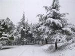 Sierra de las nieves.jpg
