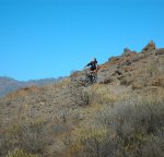 DSC_0935.JPG