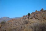 DSC_0936.JPG