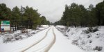 DSCN3773.JPG