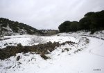 DSCN3790.JPG
