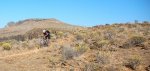 DSC_0948 copia.JPG