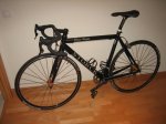 Storck Icomp.jpg