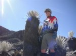 ANDES_2012_01_3.jpg