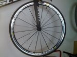 Fot Cosmic Re48.jpg
