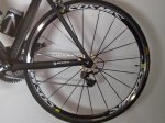Fot Cosmic Re53.jpg
