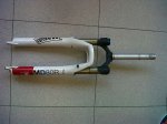 IMG-20120117-WA0001_opt.jpg