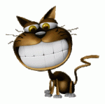 RISA_GATO_12.gif