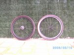 SANY1342.JPG