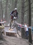 alan%u00252Bsalto%2Bbosque.jpg