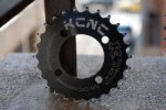 kcnc4.jpg