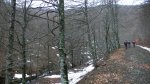 P1040123.JPG