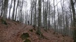 P1040140.JPG