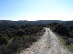 DSC05018_redimensionar.JPG