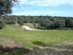 DSC05075_redimensionar.JPG