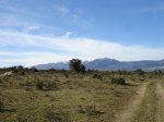 DSC05076_redimensionar.JPG
