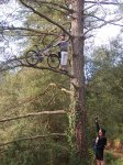 100_2049-web.JPG