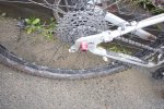 Single-speed.jpg