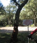 IMG_0021-2.JPG