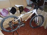 PC292085-foro.jpg