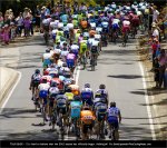 tdu12st02-field.jpg