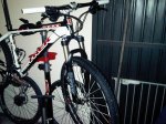IMG00471-20120110-0743.jpg