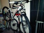 IMG00472-20120110-0743.jpg