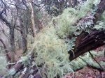 DSC05660.JPG