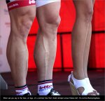 tdu12st03-contrast.jpg