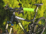 IMG_2544.gif