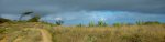 DSC_0930.JPG