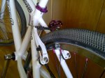 IMG-20120120-00103.jpg