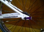 IMG-20120120-00104.jpg