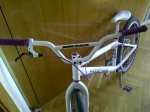 IMG-20120120-00105.jpg