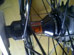 IMG-20120120-00107.jpg