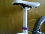 IMG-20120120-00108.jpg