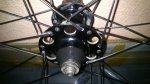 resized_DSC_0031.jpg
