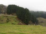 IMG_0491.jpg