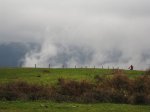 IMG_0530.jpg