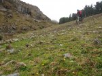 IMG_0555.jpg