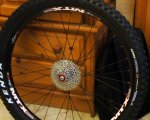 DSC01195.jpg