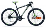 Big.Nine TFS 300-D.jpg