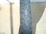 dsc02215t.jpg