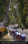 tdu12st04-fast.jpg