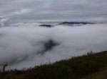 P1070979_800x600.jpg